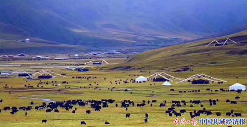 青海省加快绿色有机农畜产品示范省建设力度
